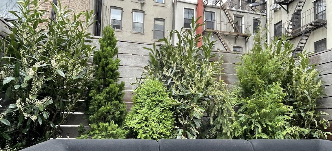 Gallery image 8 — Brooklyn rooftop garden design