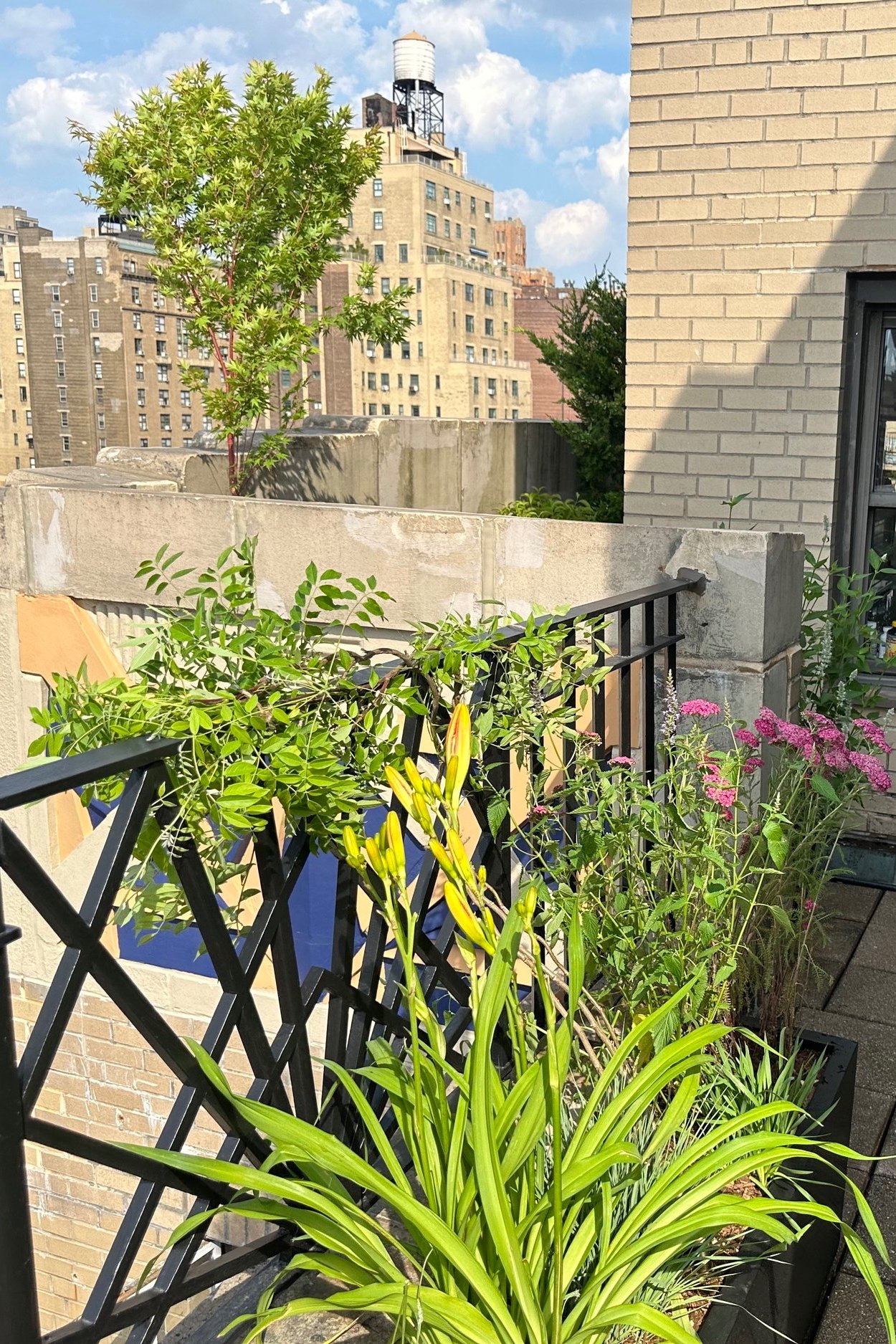 Brooklyn rooftop garden design
