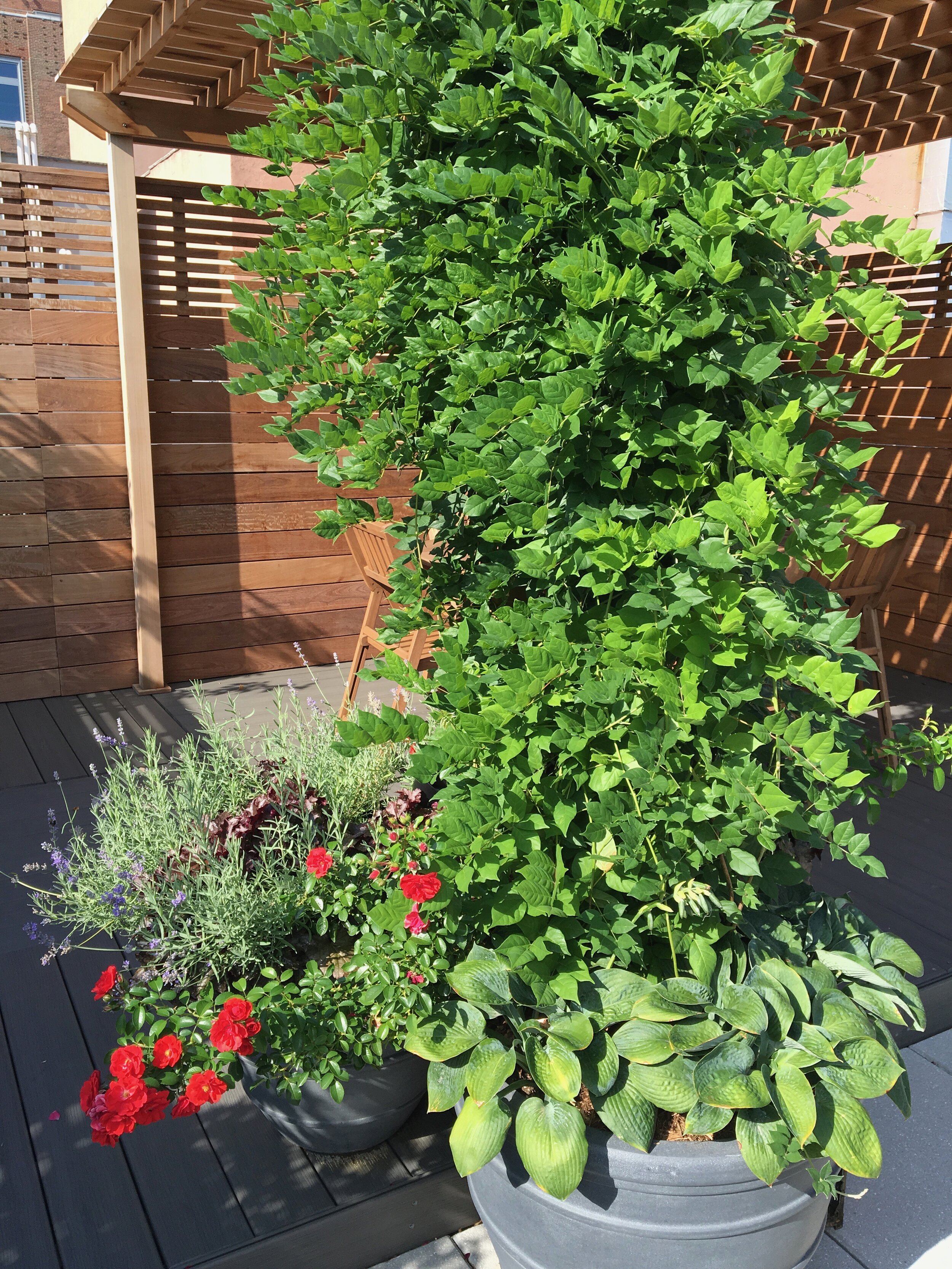 Gallery image 3 — Brooklyn rooftop garden design