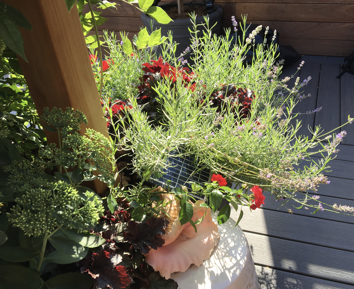 Gallery image 7 — Brooklyn rooftop garden design