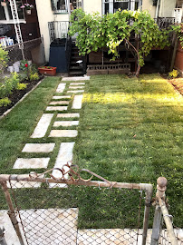 tree services Brooklyn