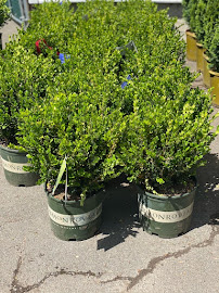 Gallery image 4 — reliable landscaping services near me