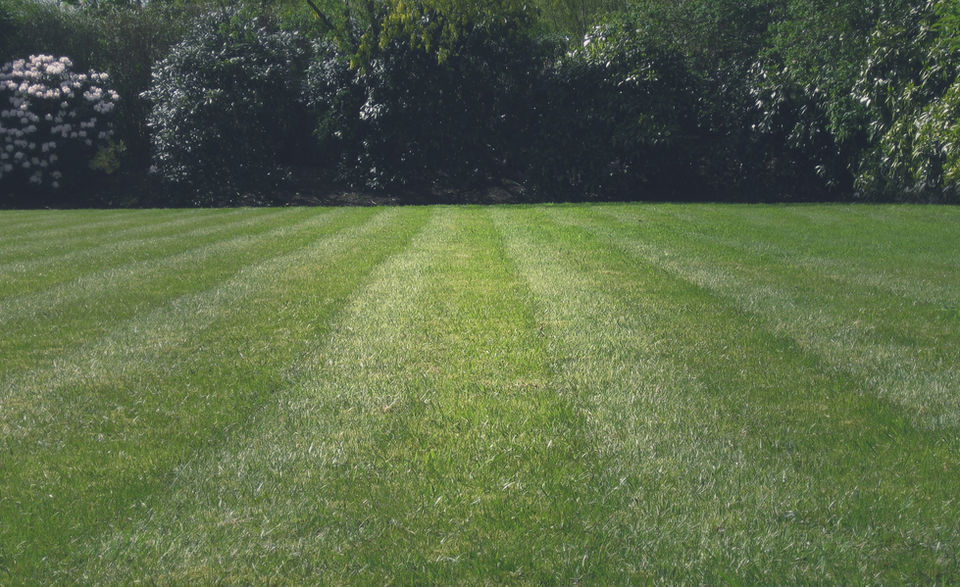 Gallery image 2 — reliable landscaping services near me