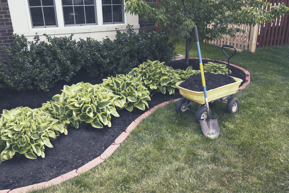 Gallery image 5 — reliable landscaping services near me