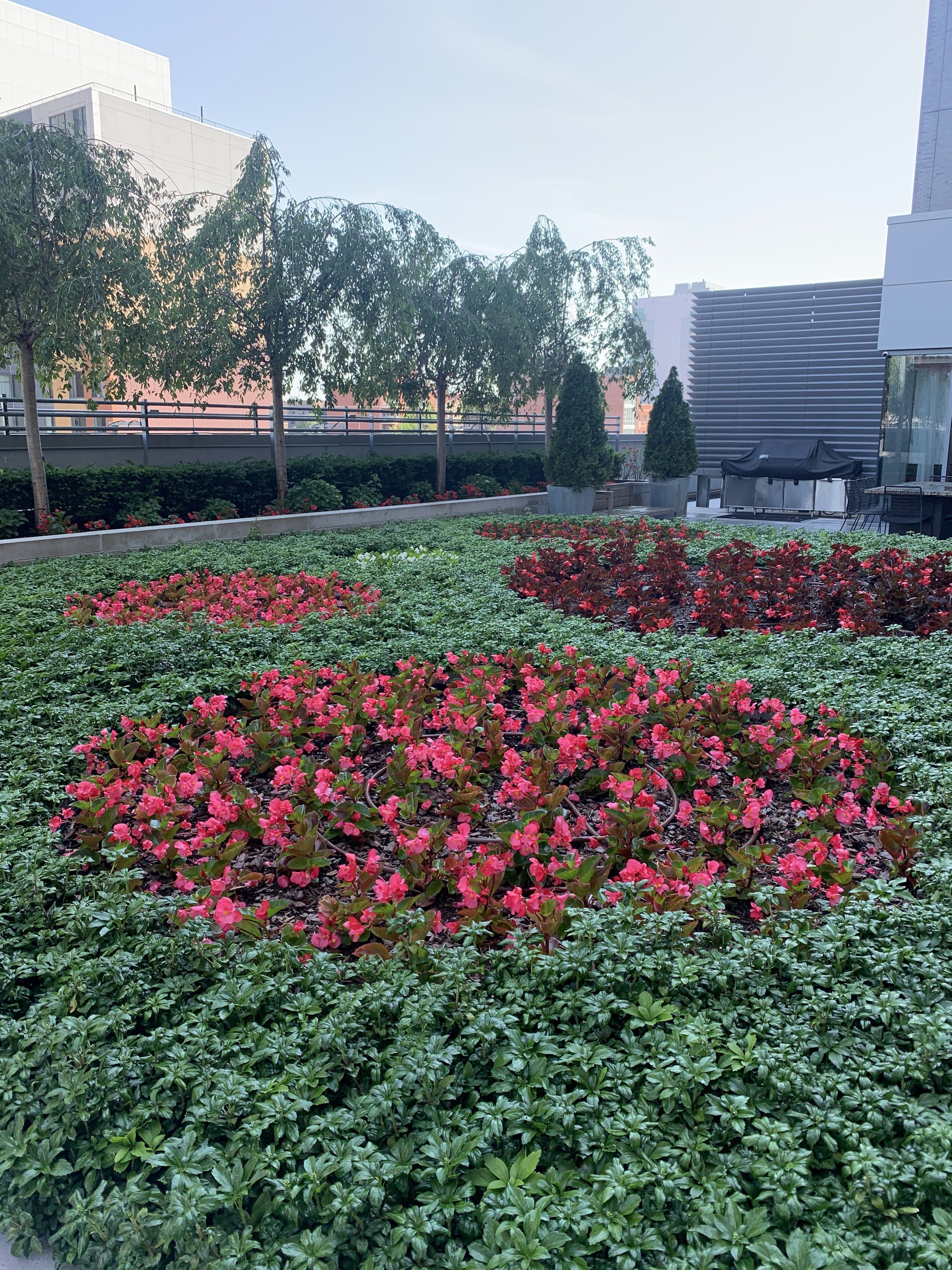 Gallery image 1 — NYC horticulture services