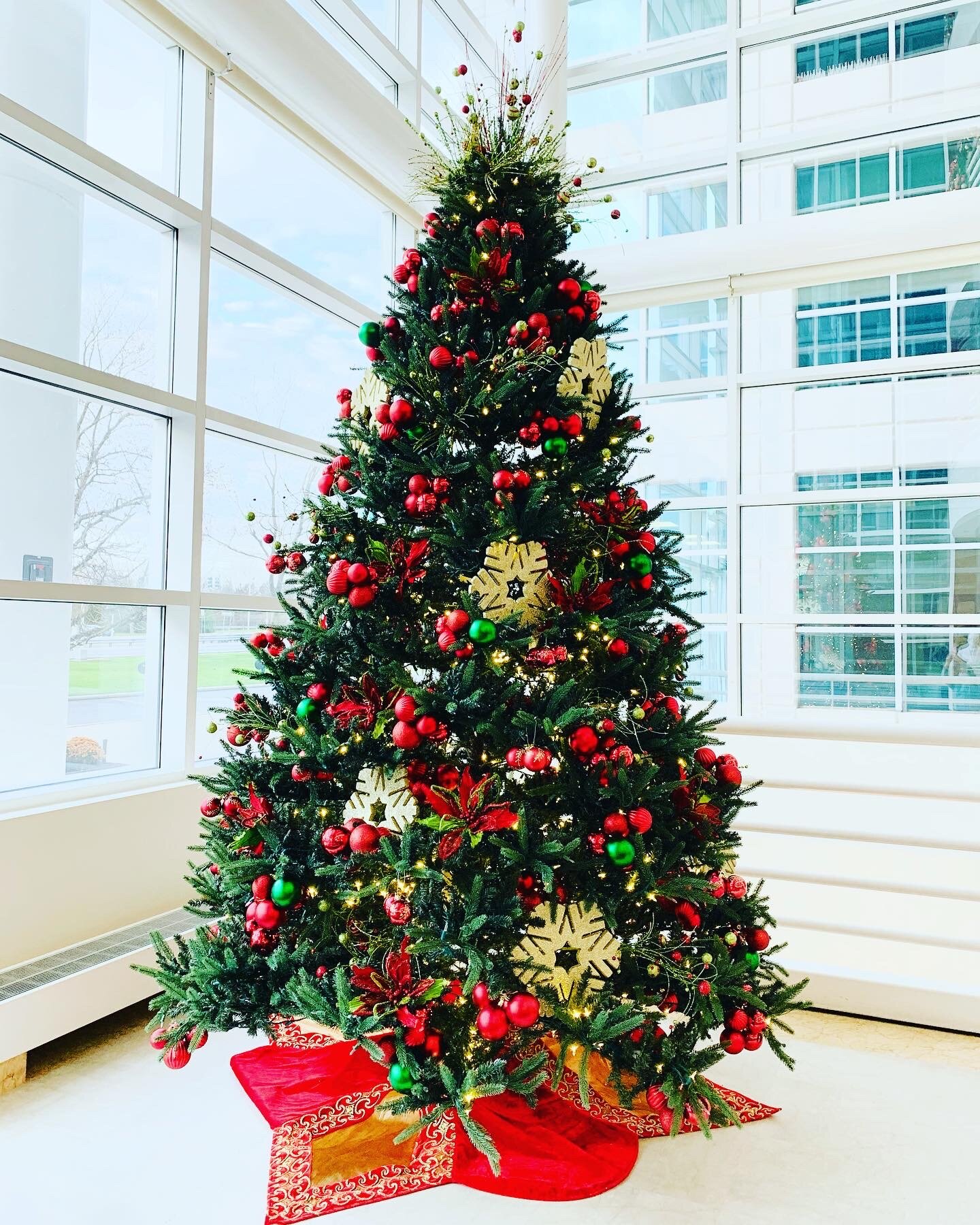 Gallery image 7 — NYC horticulture services