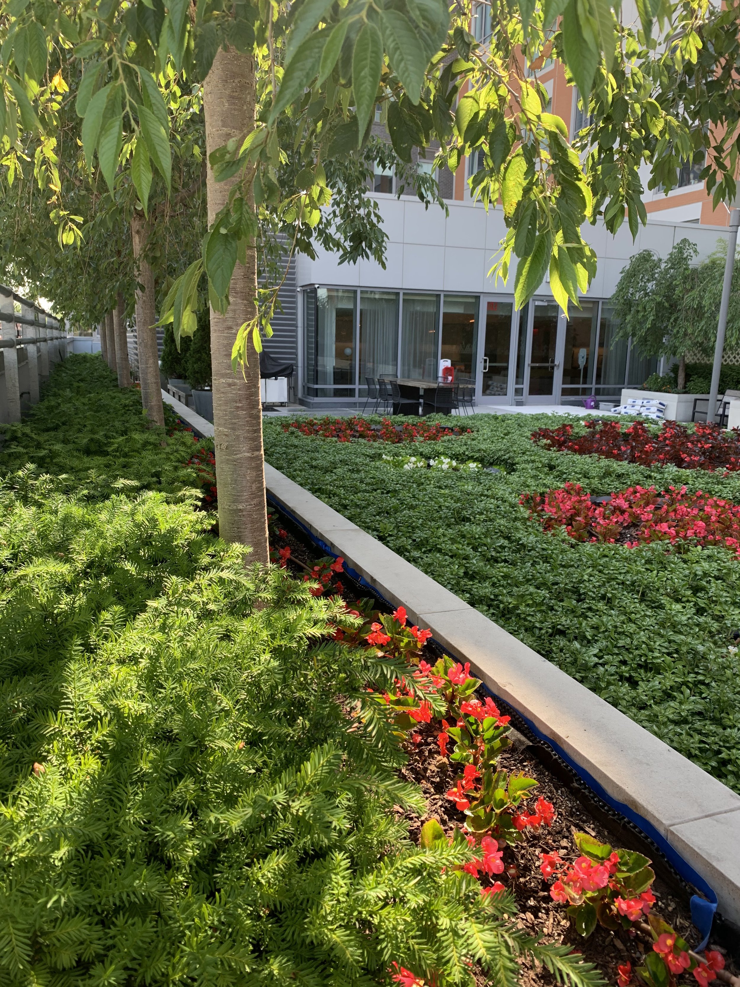 Gallery image 5 — NYC horticulture services