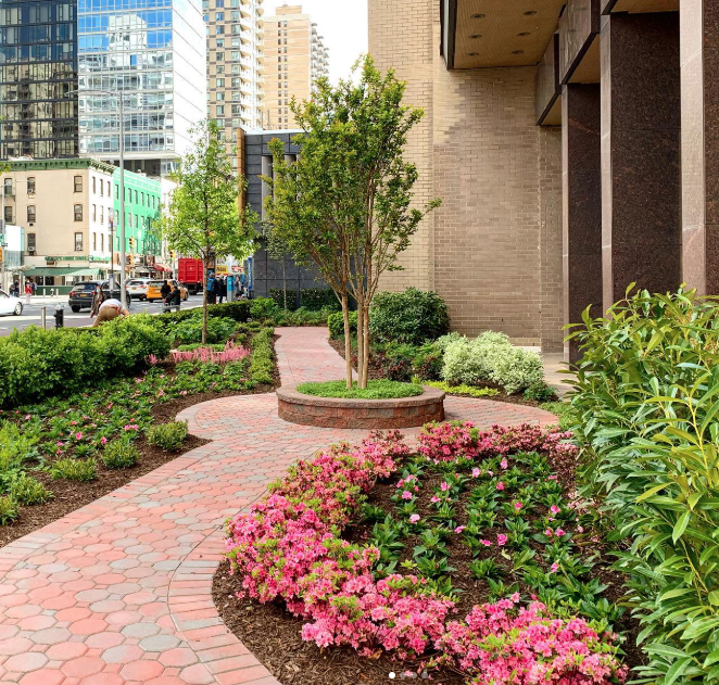 Gallery image 8 — NYC horticulture services