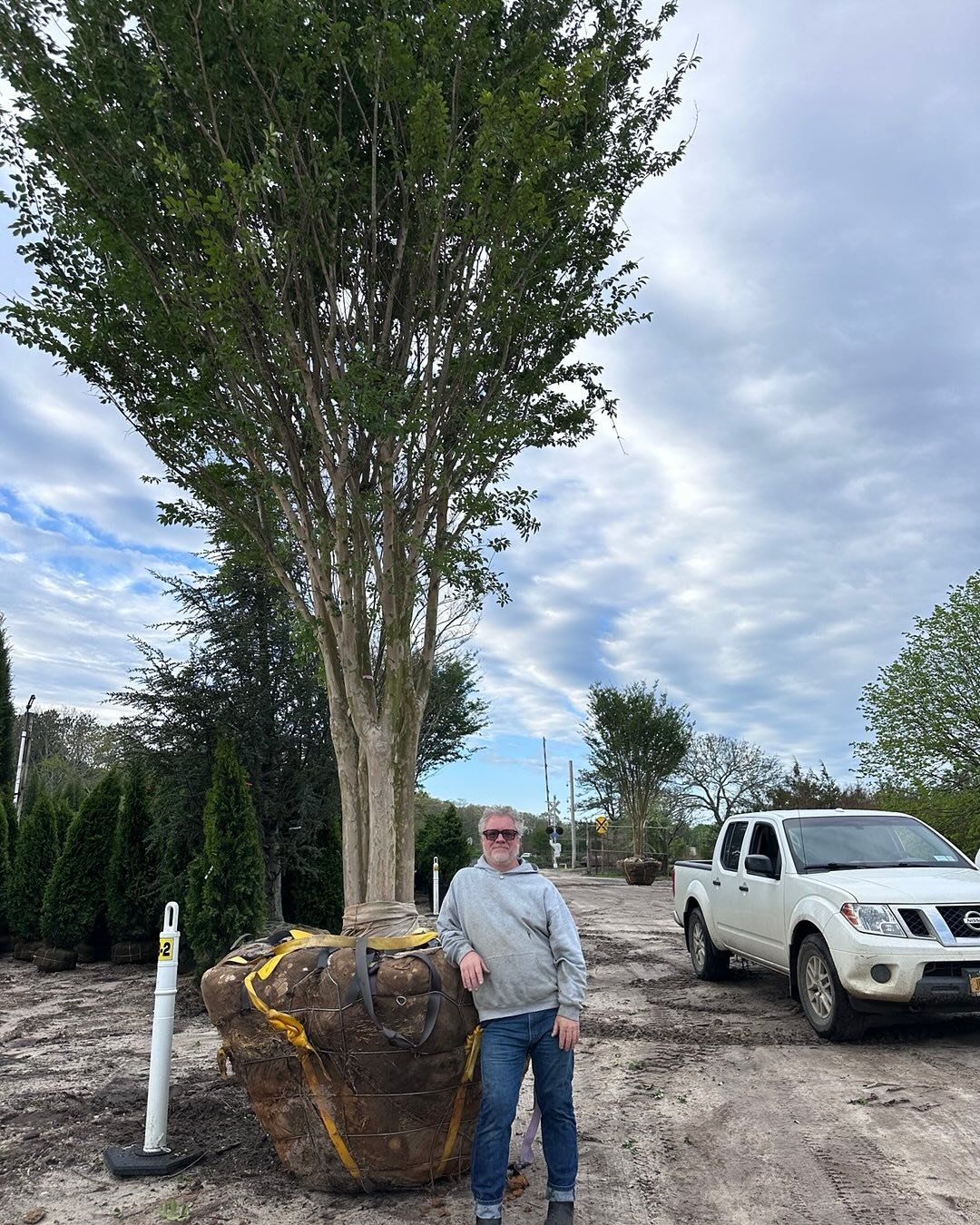 Gallery image 4 — NYC horticulture services