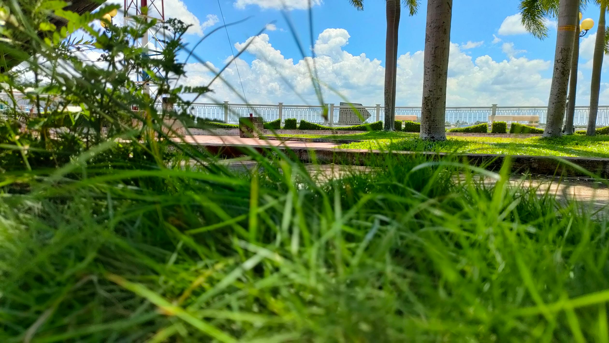 Gallery image 6 — sod installation Brooklyn