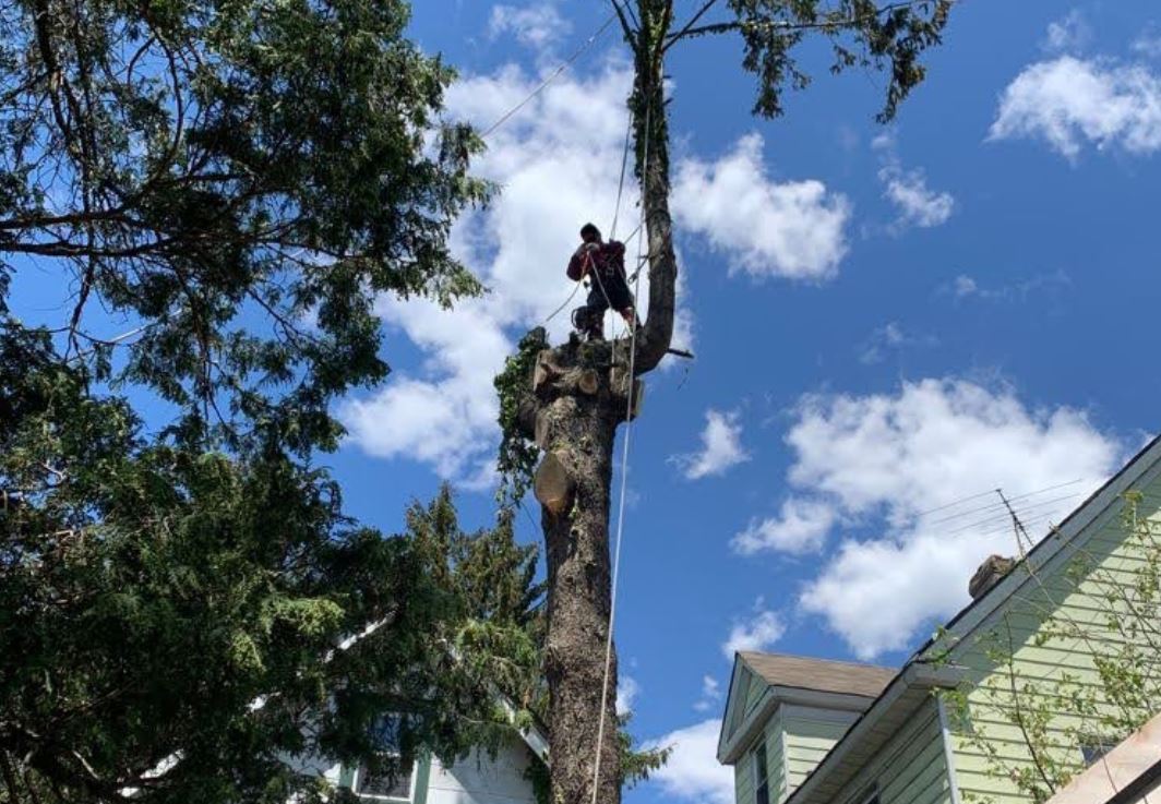 Gallery image 4 — concrete patio Brooklyn