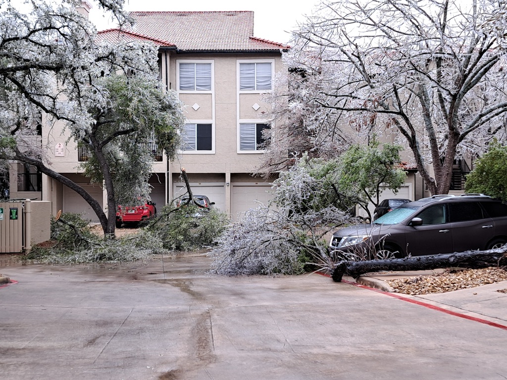 Gallery image 10 — emergency tree services near me