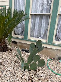 About emergency tree services near me