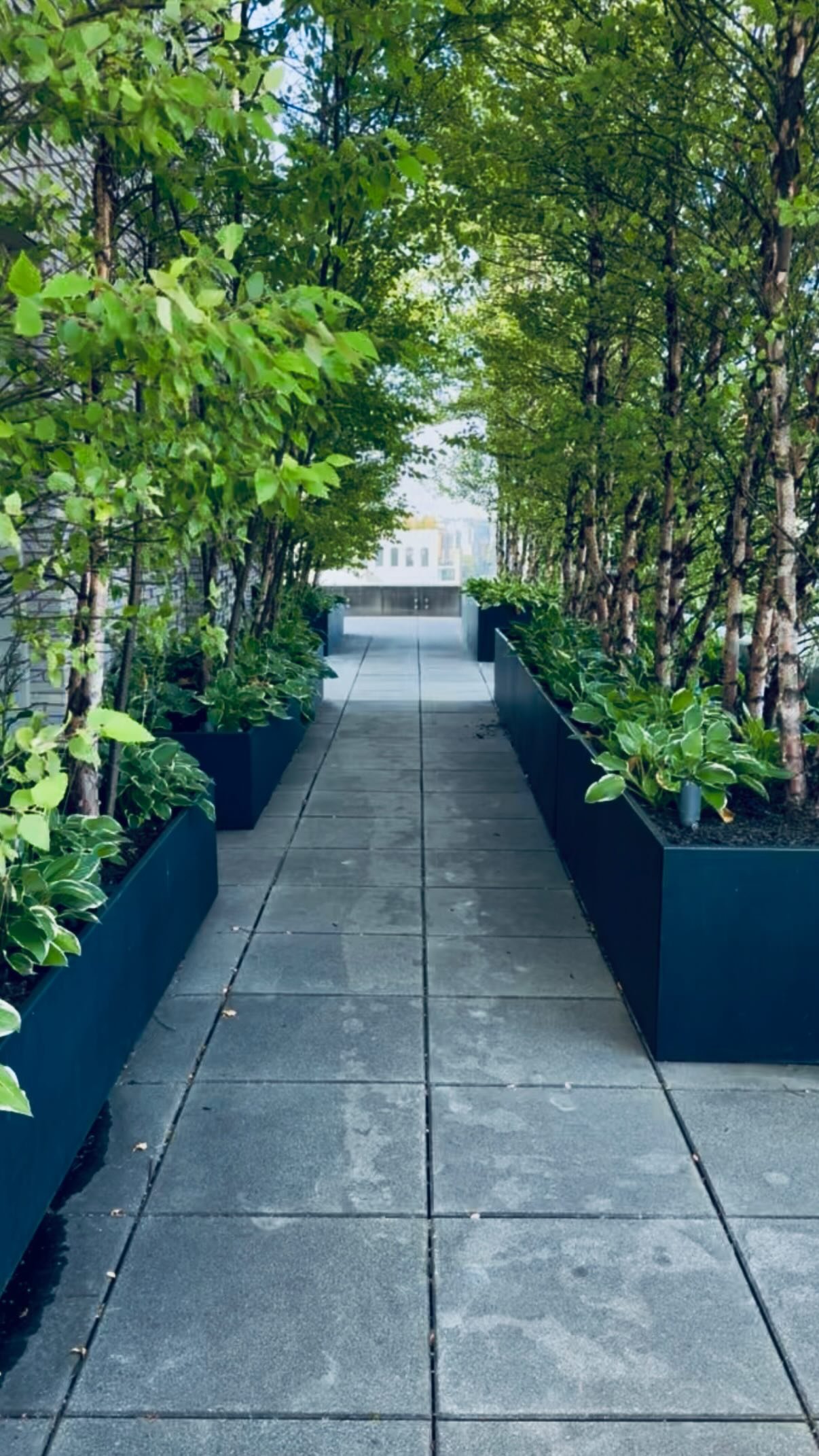 landscape maintenance New York City