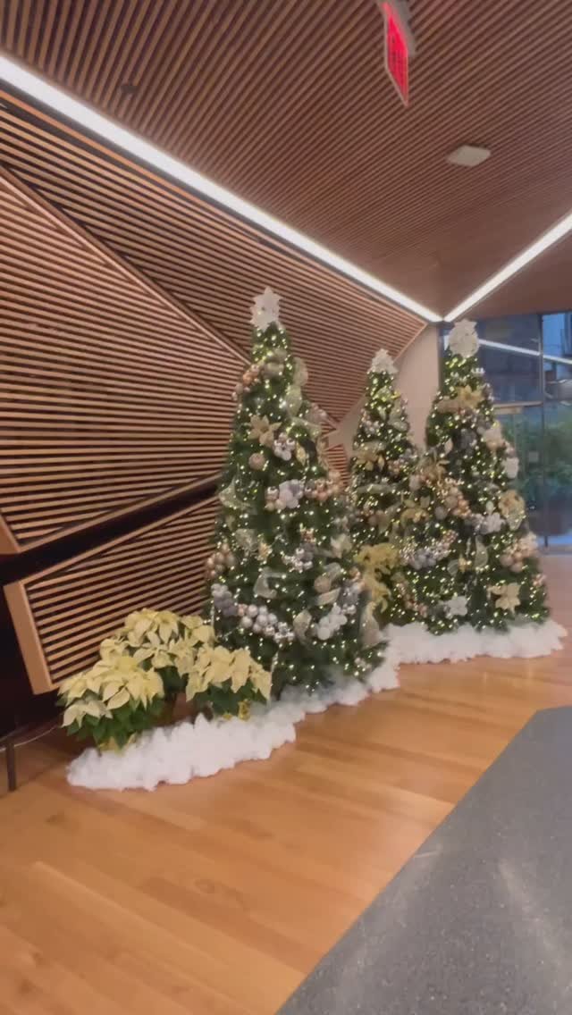 Gallery image 5 — best landscape contractor Brooklyn