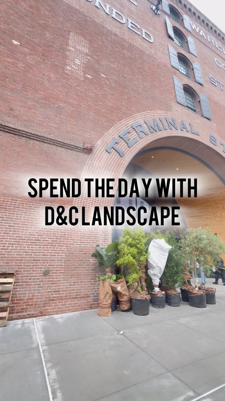 Gallery image 2 — best landscape contractor Brooklyn