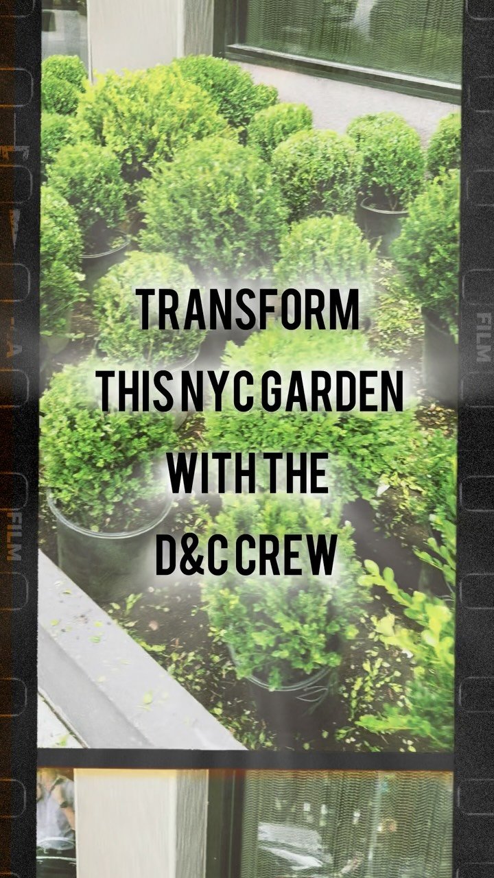 Gallery image 10 — best landscape contractor Brooklyn