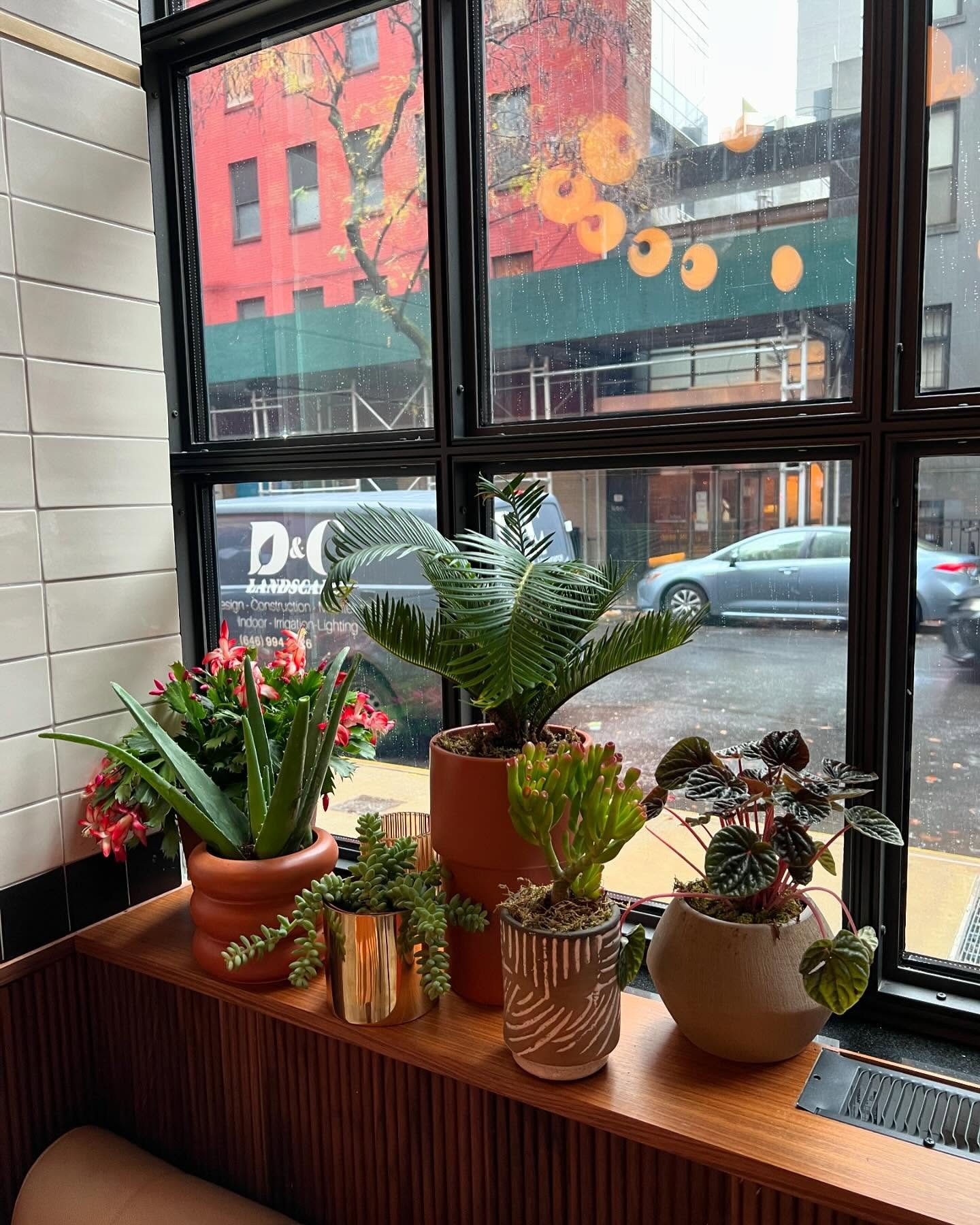 Gallery image 8 — best landscape contractor Brooklyn