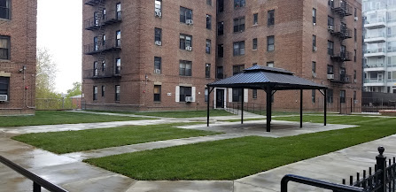 lawn aeration and overseeding near me