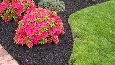 Gallery image 20 — landscape design and installation in Fresh Meadows