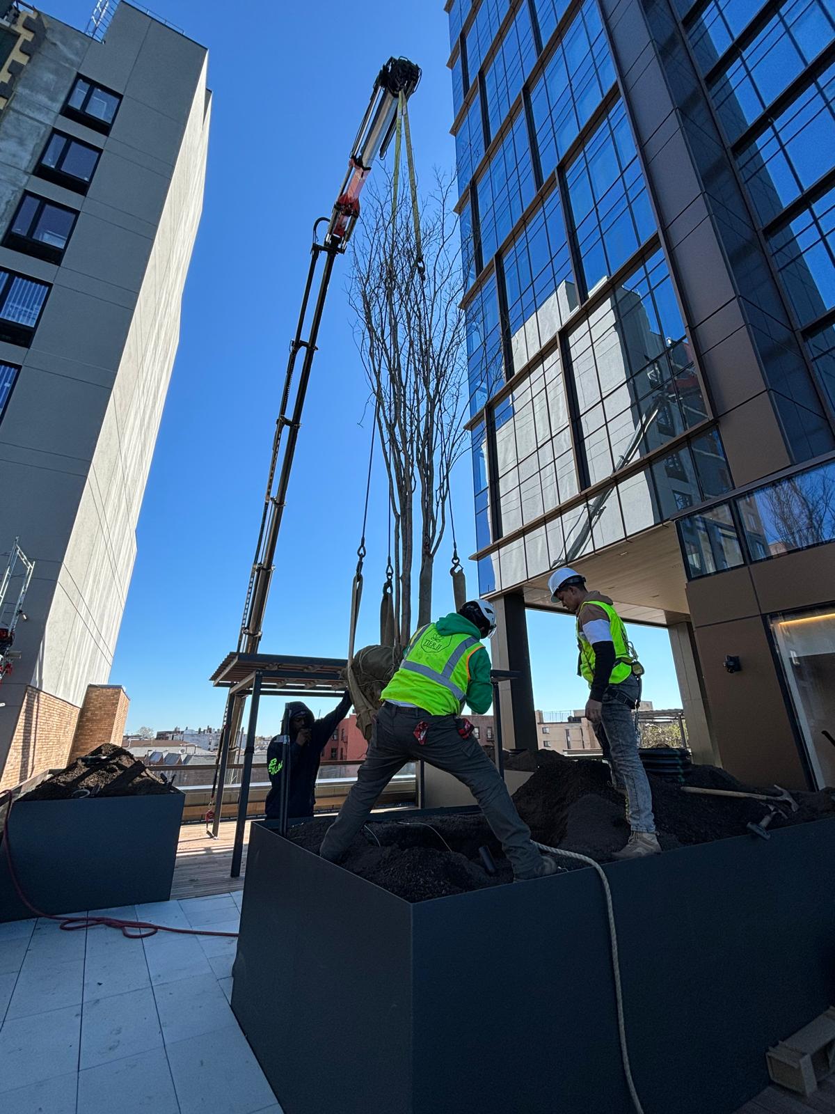 Gallery image 4 — commercial landscaping near me