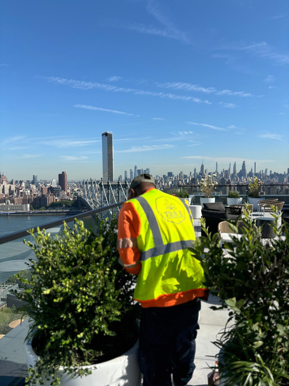 Gallery image 5 — commercial landscaping near me