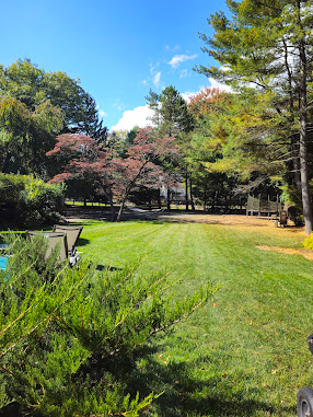 Gallery image 2 — mosquito control White Plains