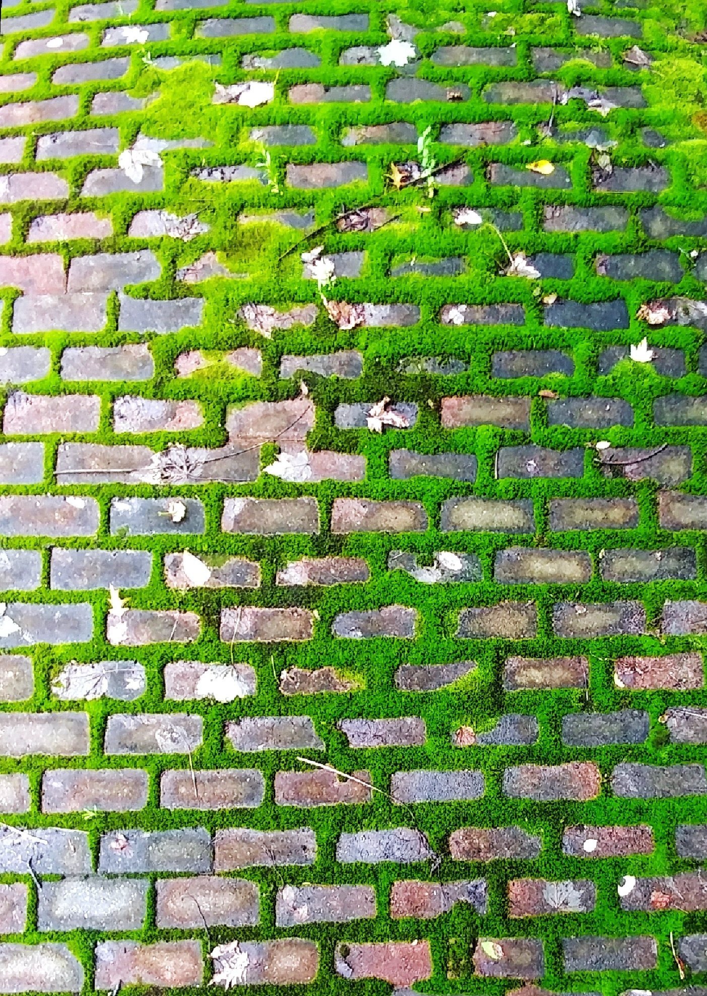 bluestone patio Brooklyn