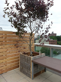 About backyard renovation Brooklyn