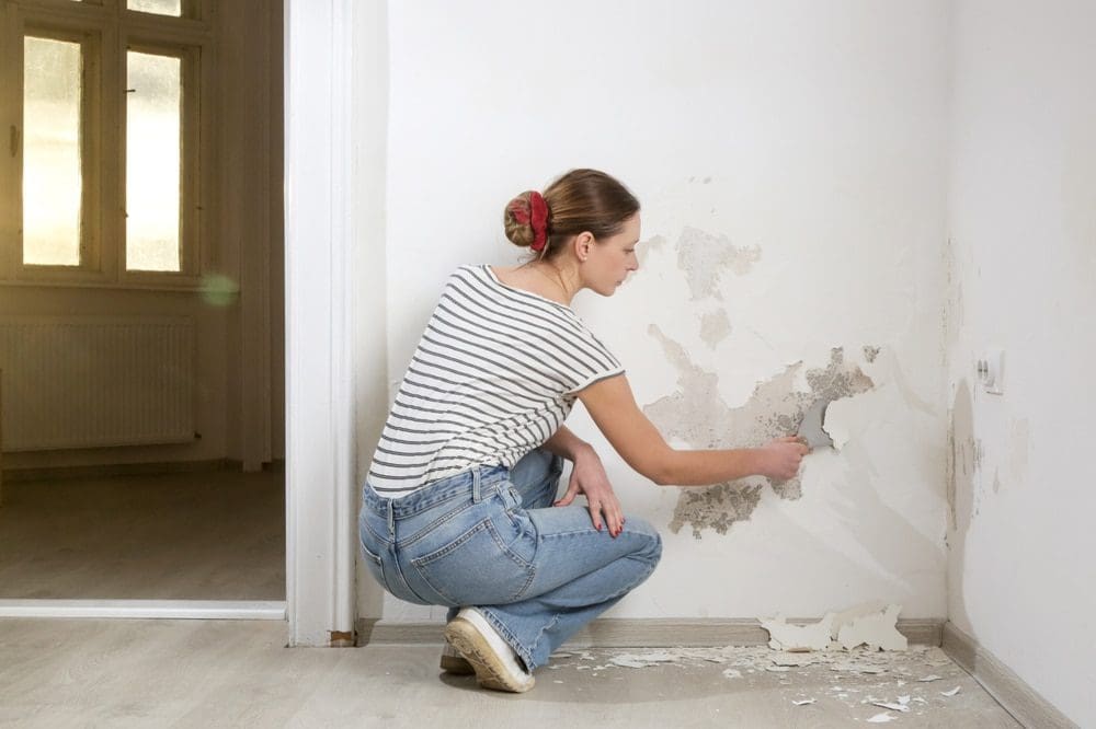 Gallery image 5 — hotel water damage cleanup in Austin, TX