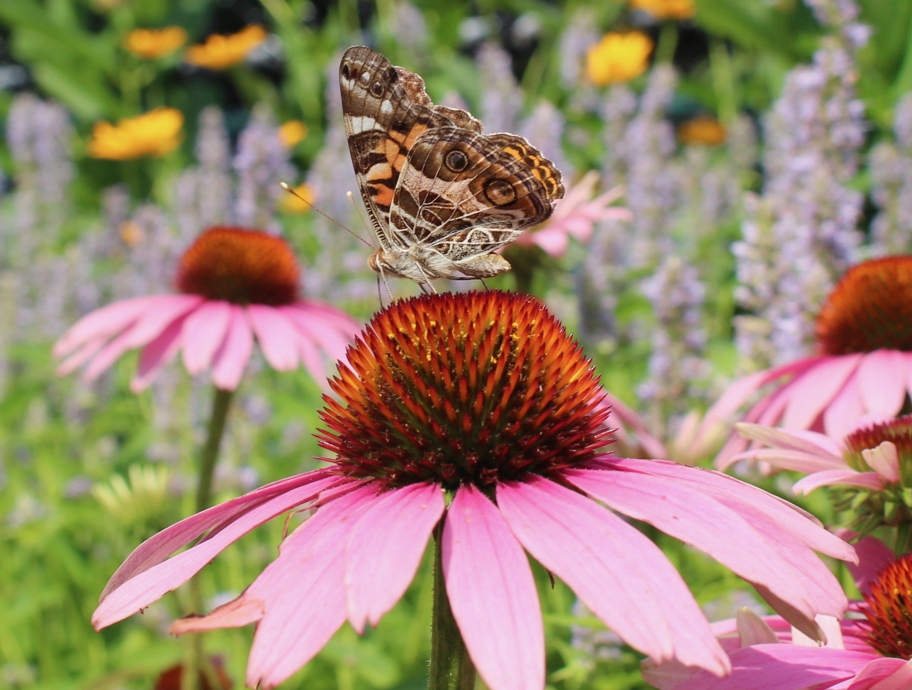 About street planting installation near me
