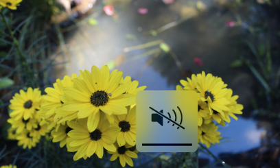 Gallery image 5 — street planting installation near me