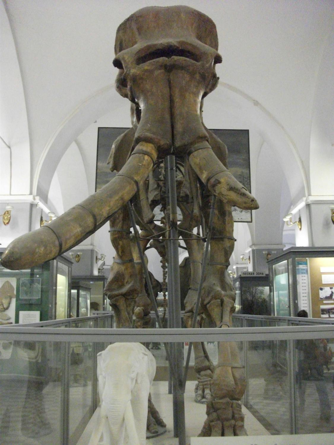 Gallery image 5 — athletic field construction near me