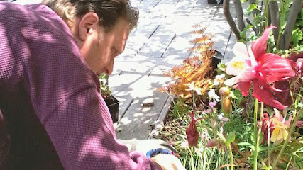 Gallery image 6 — efficient irrigation system NYC