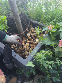 About efficient irrigation system NYC