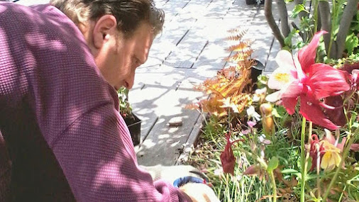 Gallery image 3 — townhouse yard irrigation NYC