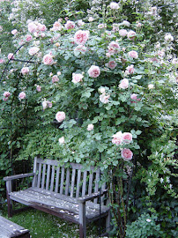 Gallery image 6 — commercial garden maintenance Brooklyn