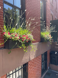 Gallery image 2 — commercial garden maintenance Brooklyn