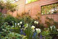 Gallery image 7 — commercial garden maintenance Brooklyn