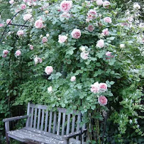 Gallery image 1 — commercial garden maintenance Brooklyn