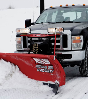 Gallery image 7 — discount tree trimming Bronx