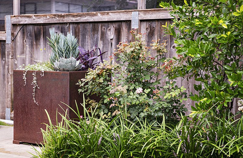 Gallery image 9 — sustainable garden design Austin