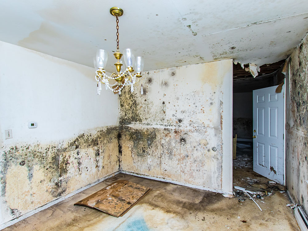 Gallery image 4 — Restoration Experts