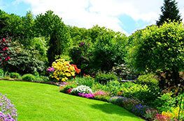 Gallery image 6 — best landscaping company in Austin