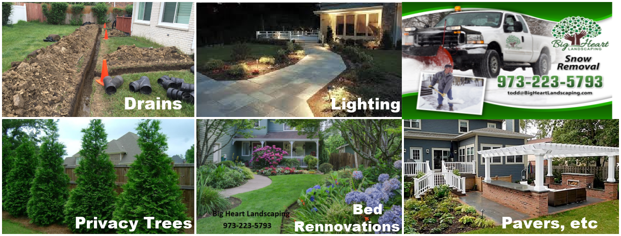 Gallery image 4 — garden lighting Wayne