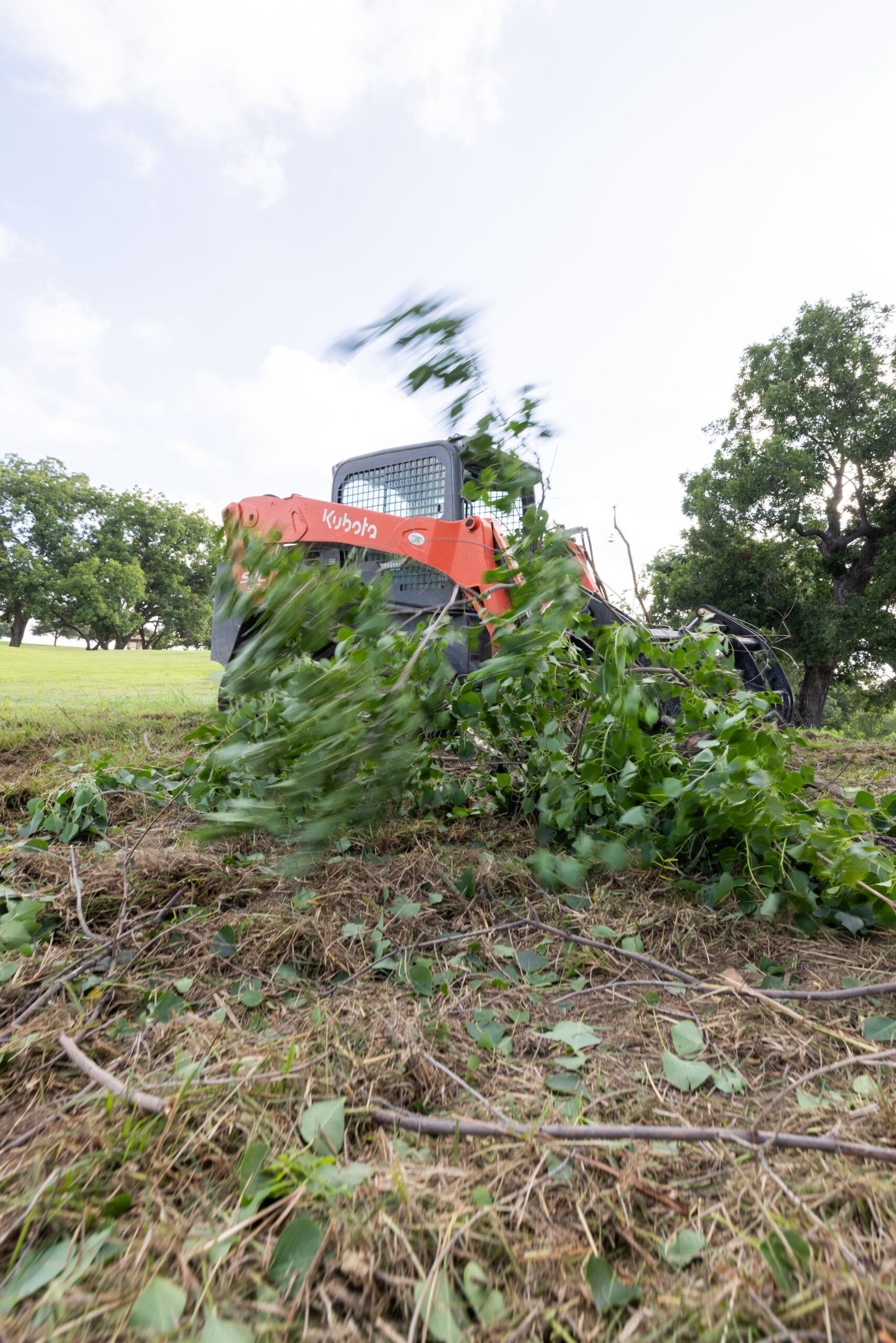 Gallery image 1 — sod installation in Steiner Ranch