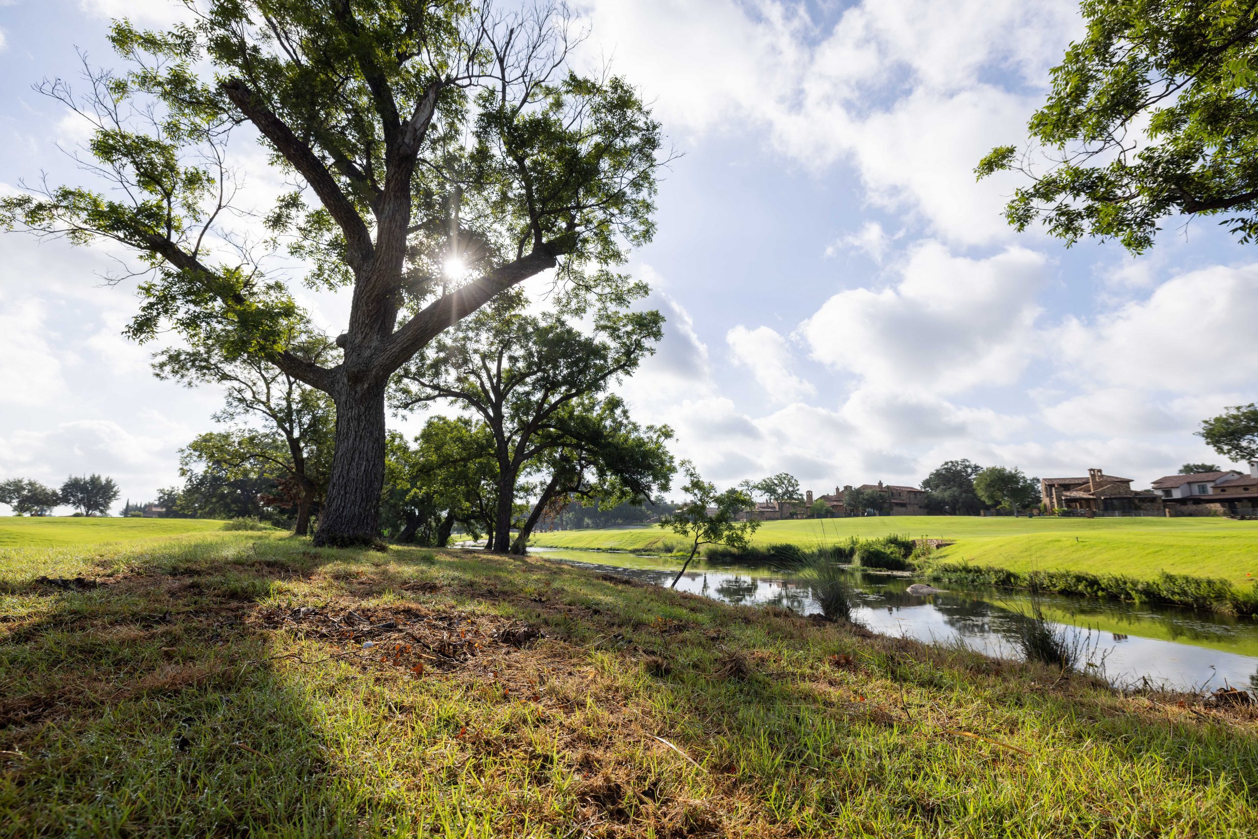 About sod installation in Steiner Ranch
