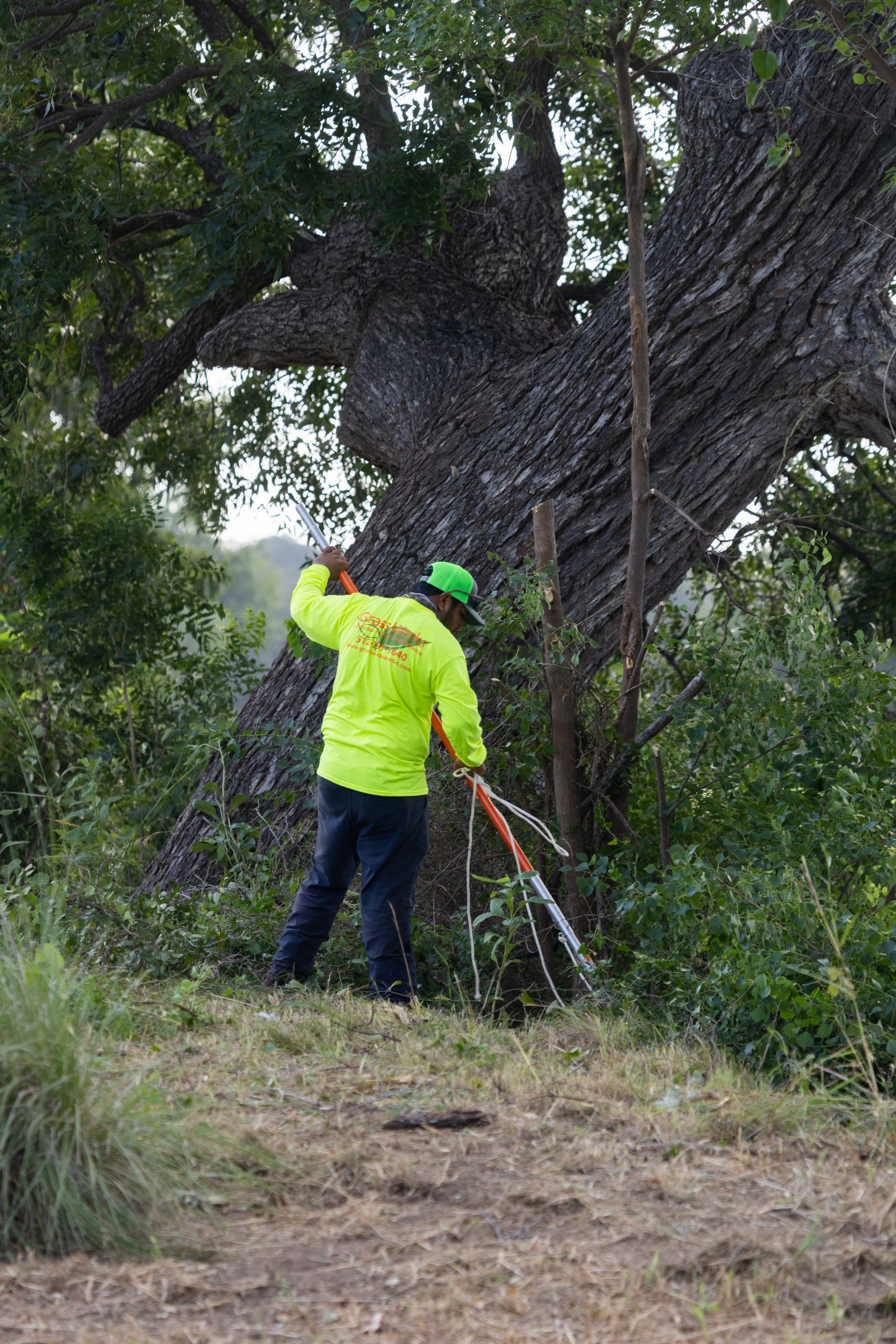Gallery image 5 — sod installation in Steiner Ranch