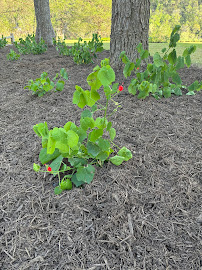sprinkler repair in Dripping Springs