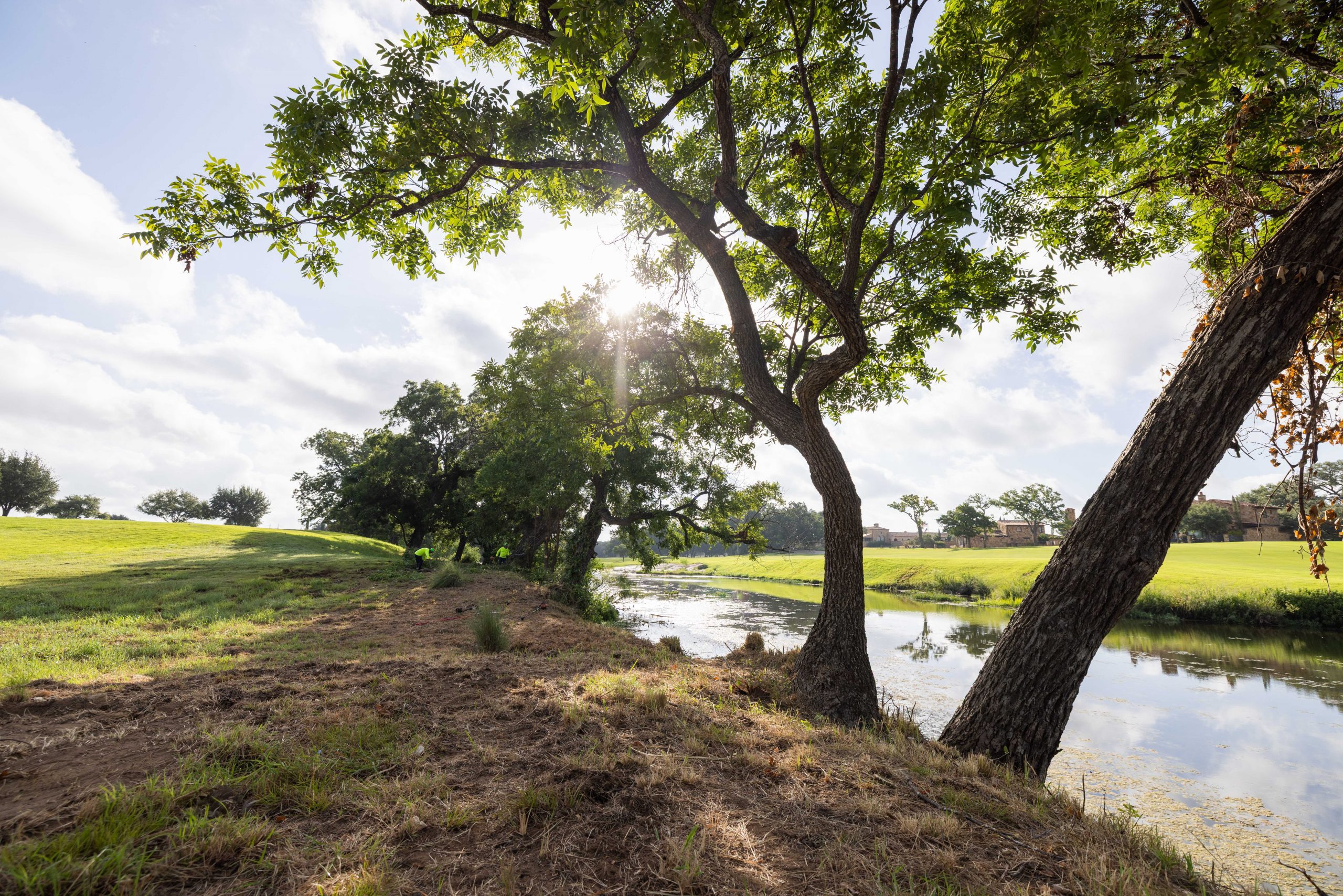 Gallery image 4 — sod installation in Steiner Ranch
